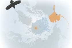 Raven Alaska Map