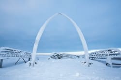 Whale Bone Arch