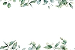 Eucalyptus