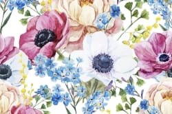 Watercolor Flowers