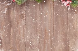 Christmas Fir