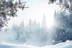 Winter Wonderland