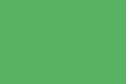 Green-Screen