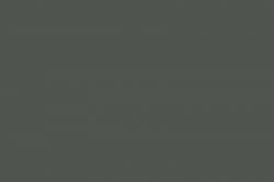 Thunder Gray