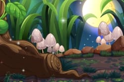 Enchanted Mushrooms