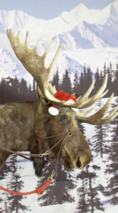 Hank The Moose